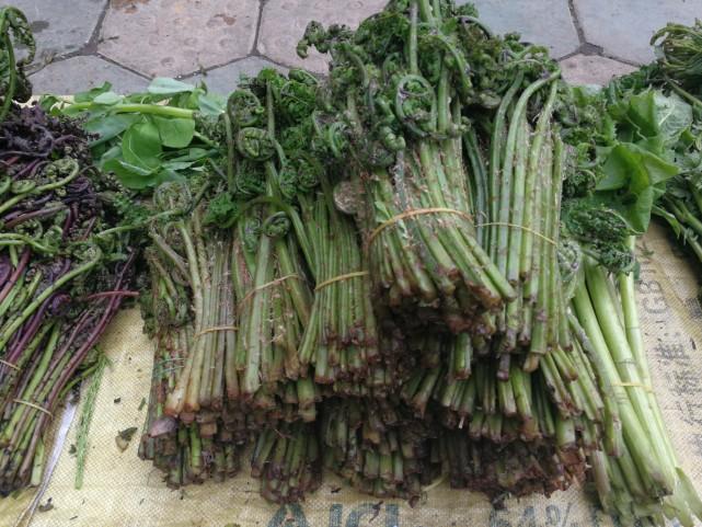 吉林,雪域之美与历史的交响之旅